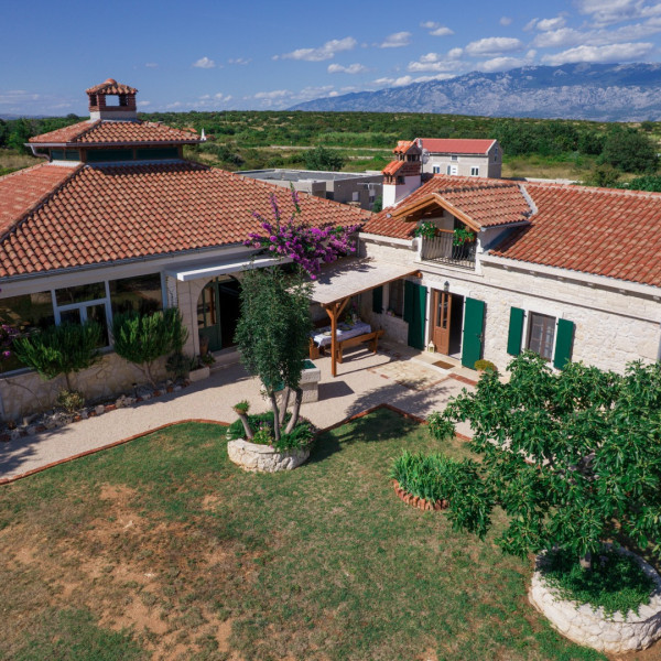 Villa Vidonjica, Villa Vidonjica Novalja