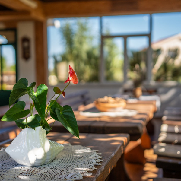 Villa Vidonjica, Villa Vidonjica Novalja