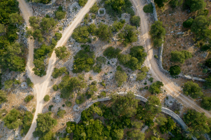 Villa Vidonjica Novalja